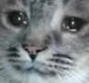 crycatto