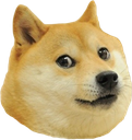 moon_doge Discord emoji