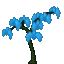 Blue Flower blueflower Discord Emoji