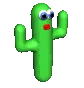 cactusdance