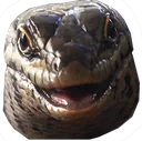 skinkhappy