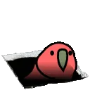 parryhatchky parryhatchky