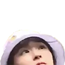 seulgicurious seulgicurious