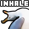 bgrafi1In