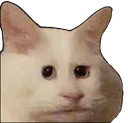TechCat