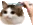 brushy