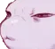 m2TheFuck