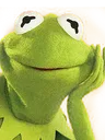 FrogWow
