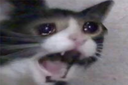 screm Discord emoji
