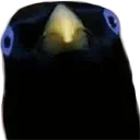 wntsum