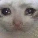cri
