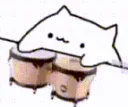 bongocat