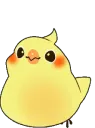 birdbounce2