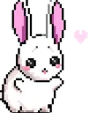 bunnyhugs