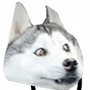 derpwolf