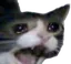 Angry_SadTC Angry_SadTC