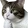ThinkingCat ThinkingCat