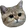 MadCat MadCat