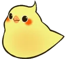 birdbounce