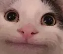 mm