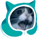 sadcomfycat sadcomfycat