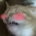 sonrojadoof Discord Emoji