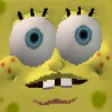 spongeconcerned