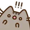 pushock