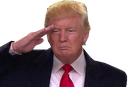 trumpsalute