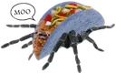bluealbinotacospider