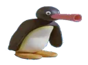 NOOTNOOT NOOTNOOT