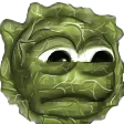 sacCABBAGE