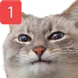 Pingerest