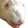 ech