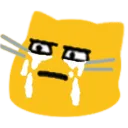 blobcatsadlife
