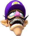 waluigi waluigi