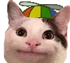 dumbpolite