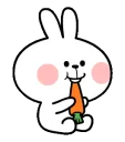 bunnyeat