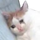 awshit
