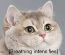 breathingintensifies