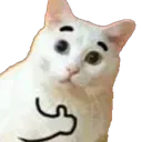 sugoi