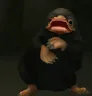 NifflerDancing NifflerDancing