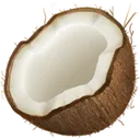 coconut coconut