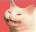 smilingcat