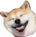 doggohehe
