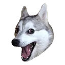 Husky Husky