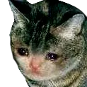 KittyCry2