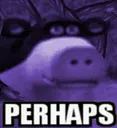 Perhaps Perhaps