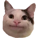 smilecat