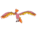 shinymoltres